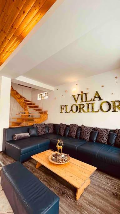 Vila Florilor Buşteni Exteriér fotografie